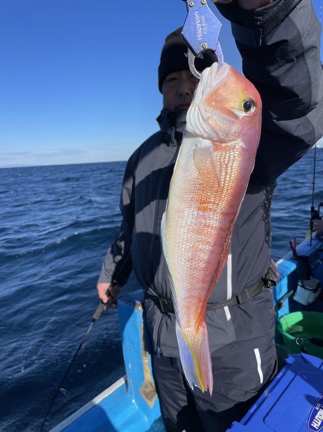 アマダイ(アカアマダイ)