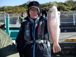 アマダイ(アカアマダイ)