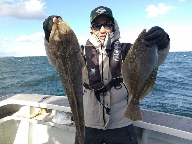 コチ(マゴチ)・ヒラメ