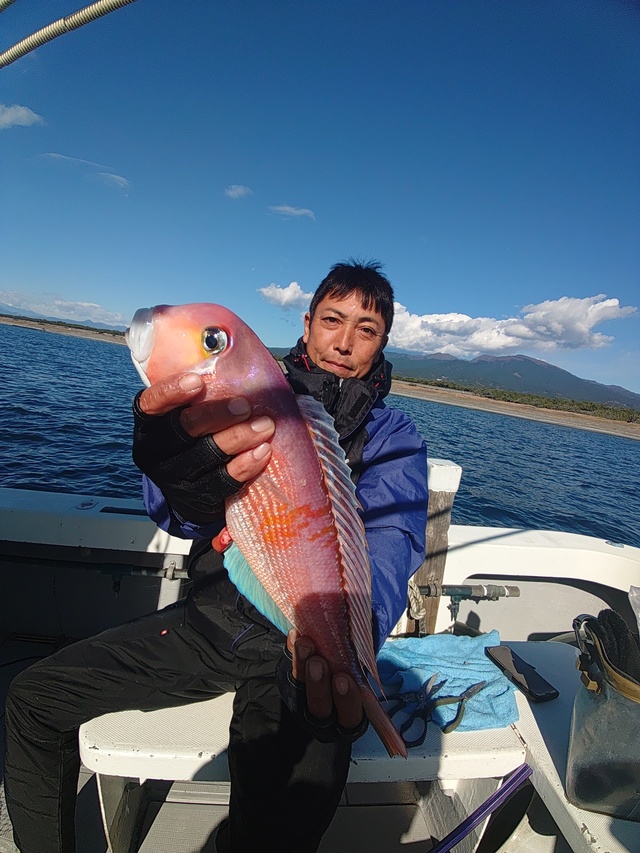 アマダイ(アカアマダイ)