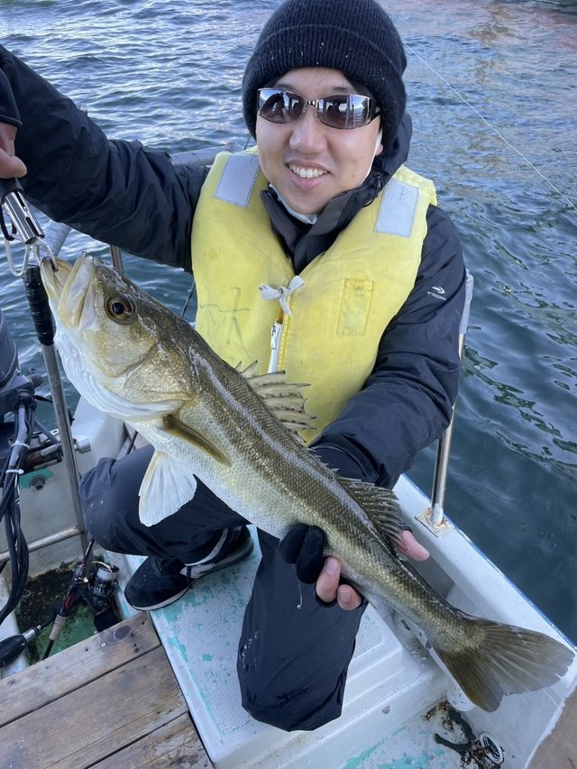 シーバス(スズキ)