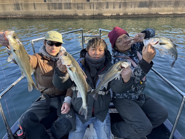 シーバス(スズキ)