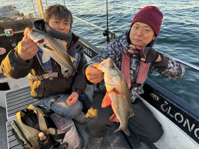 シーバス(スズキ)