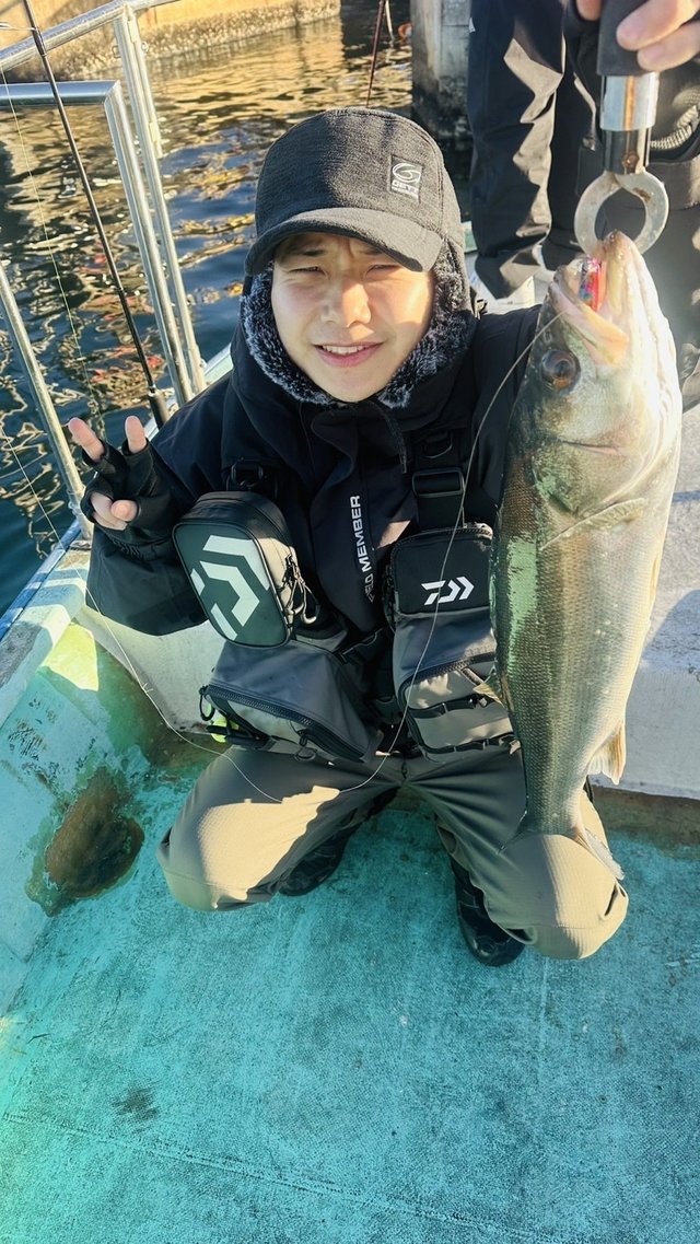 シーバス(スズキ)