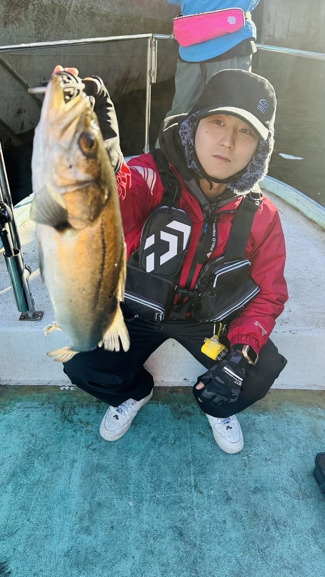 シーバス(スズキ)