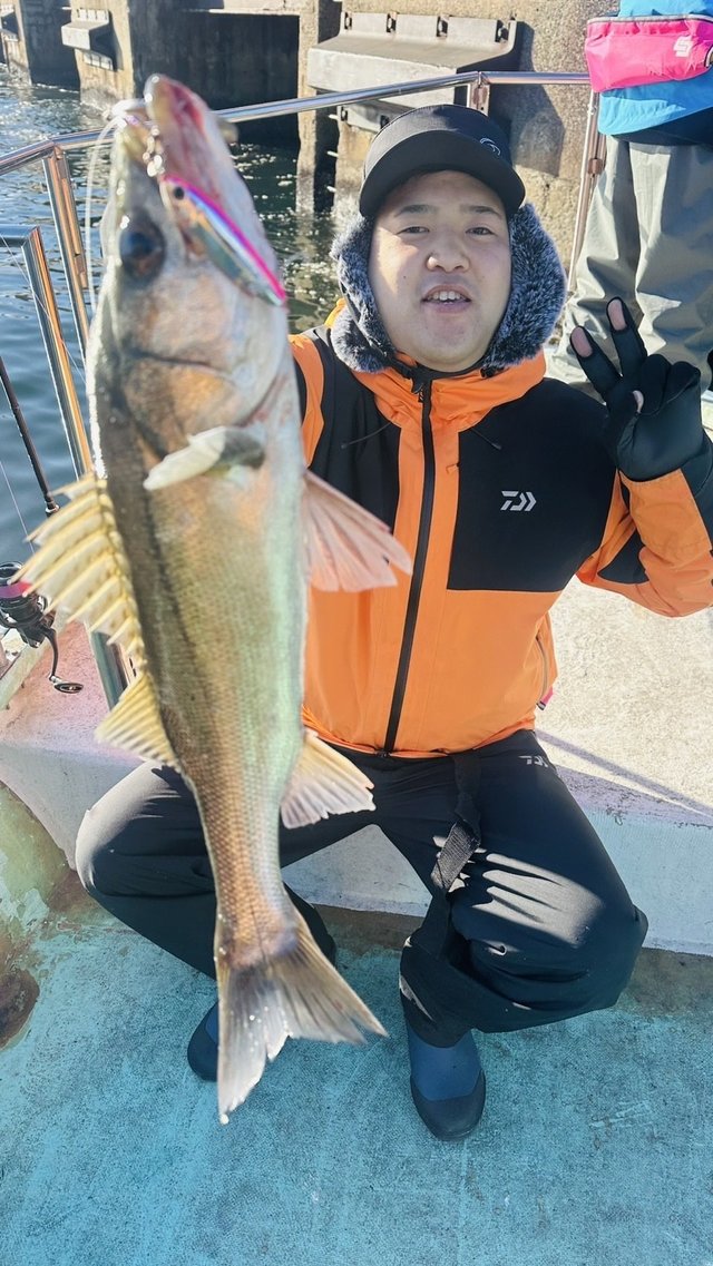 シーバス(スズキ)