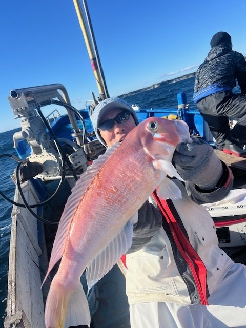 アマダイ(アカアマダイ)