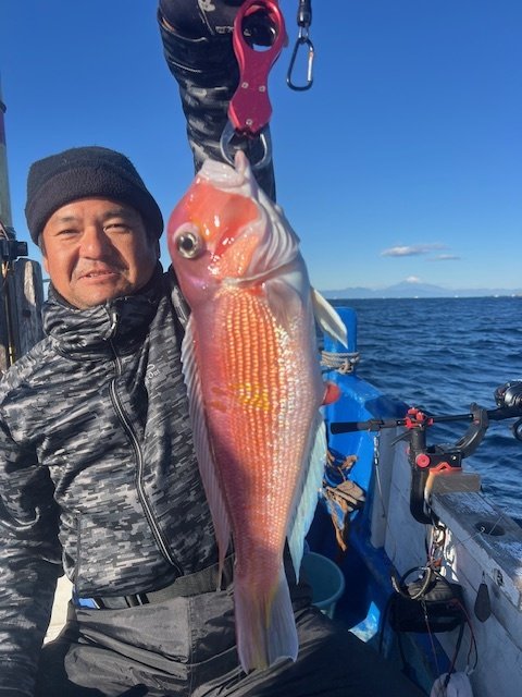 アマダイ(アカアマダイ)