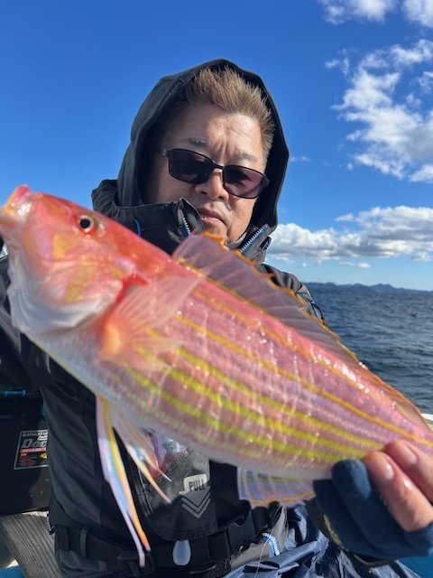 イトヨリ(イトヨリダイ)