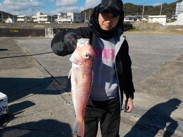 アマダイ(アカアマダイ)