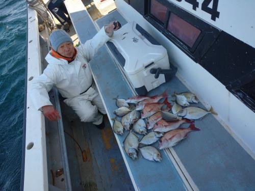 マダイ・カイワリ