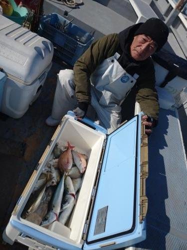 マダイ・カイワリ・サバ(ゴマサバ)