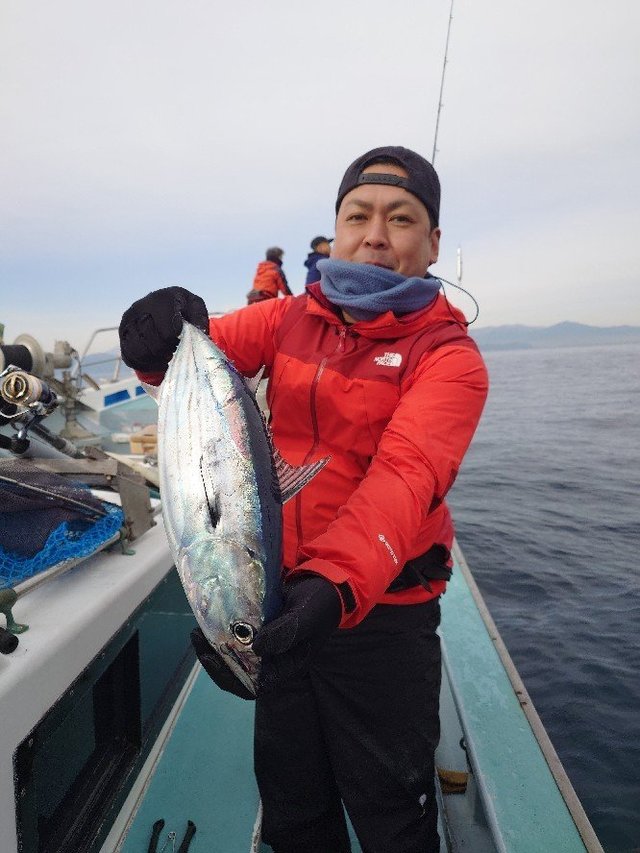 キメジ(キハダ)