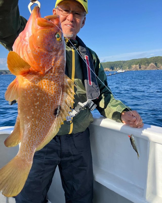 アコウ(キジハタ)