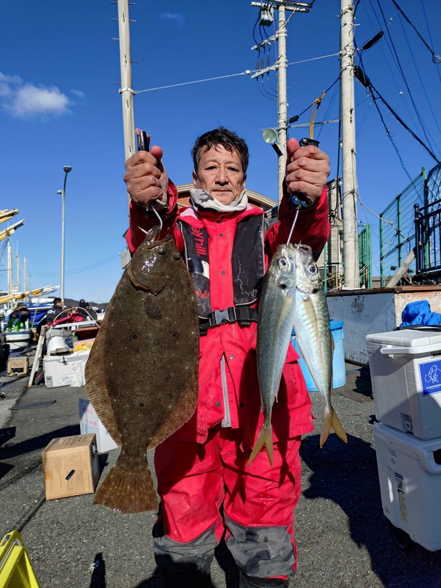 アジ(マアジ)・ヒラメ