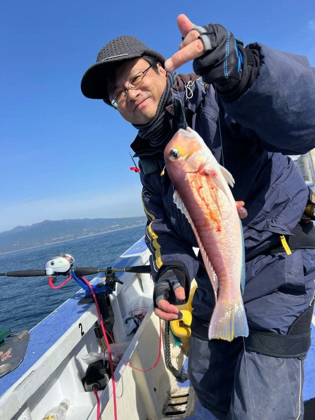 アマダイ(アカアマダイ)