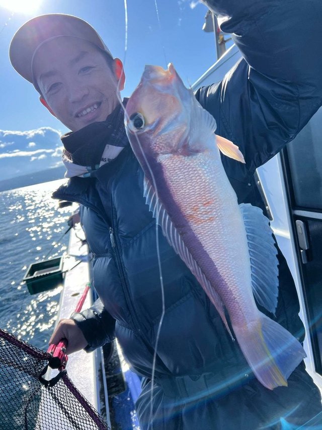 アマダイ(アカアマダイ)