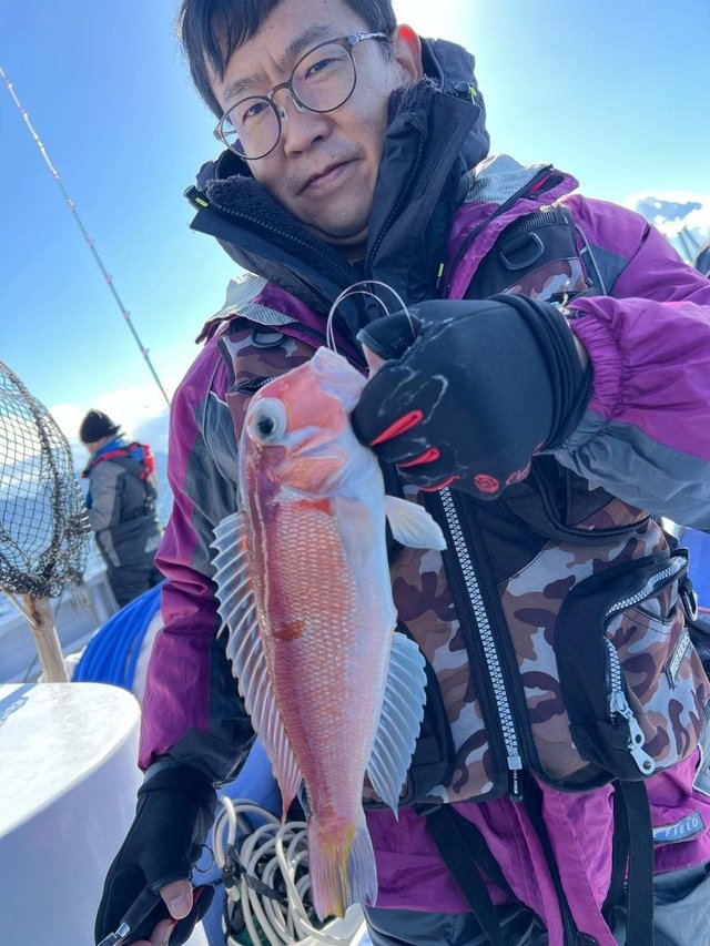 アマダイ(アカアマダイ)