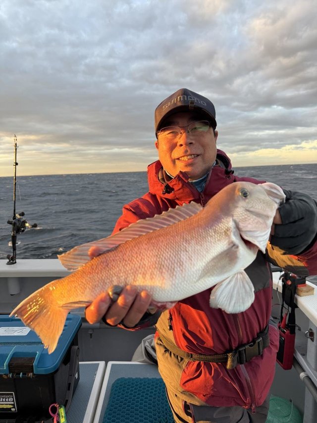 アマダイ(アカアマダイ)