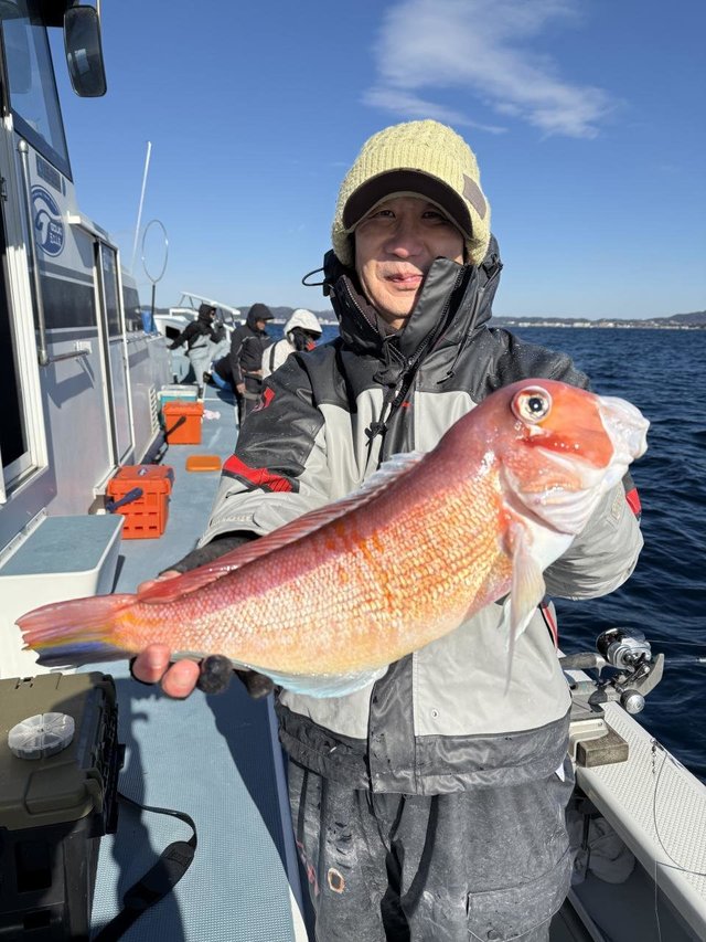 アマダイ(アカアマダイ)