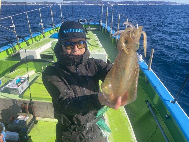 アオリ(アオリイカ)