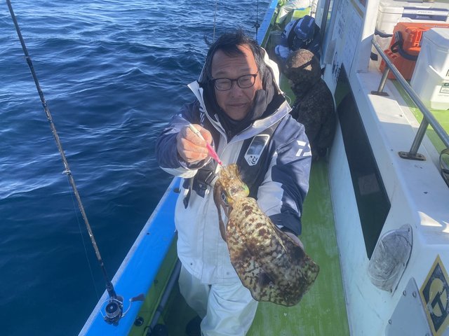 アオリ(アオリイカ)