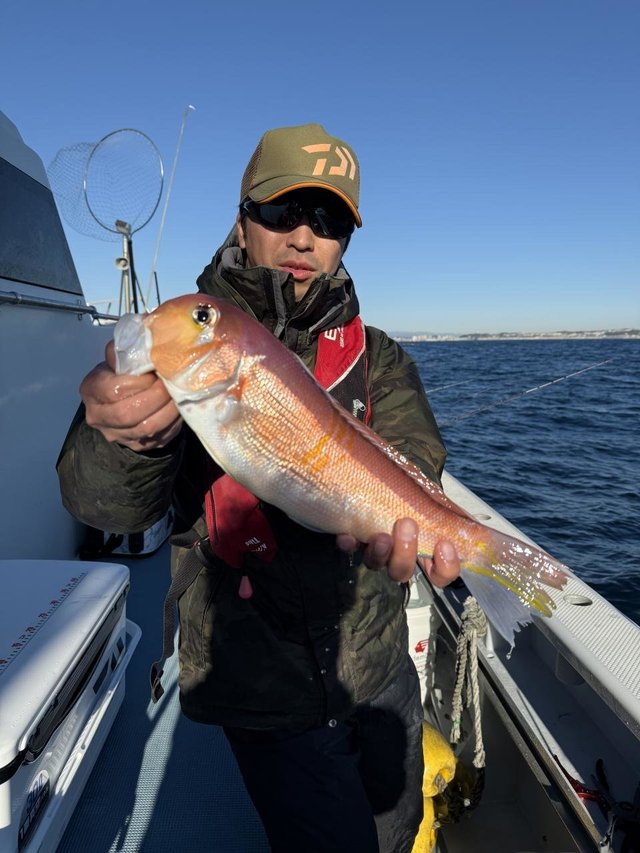 アマダイ(アカアマダイ)