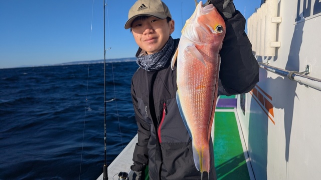 アマダイ(アカアマダイ)