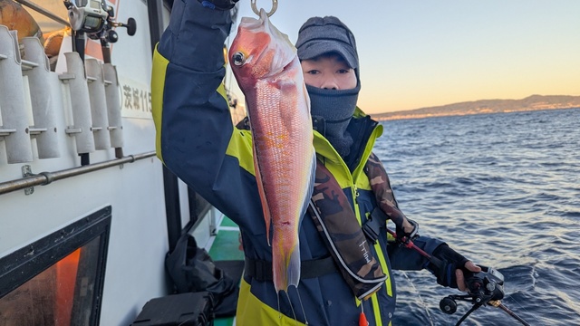 アマダイ(アカアマダイ)