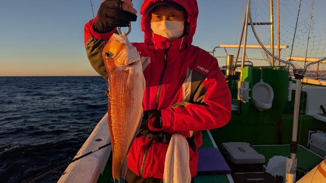 アマダイ(アカアマダイ)