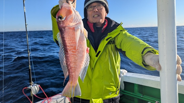 アマダイ(アカアマダイ)