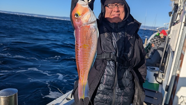 アマダイ(アカアマダイ)