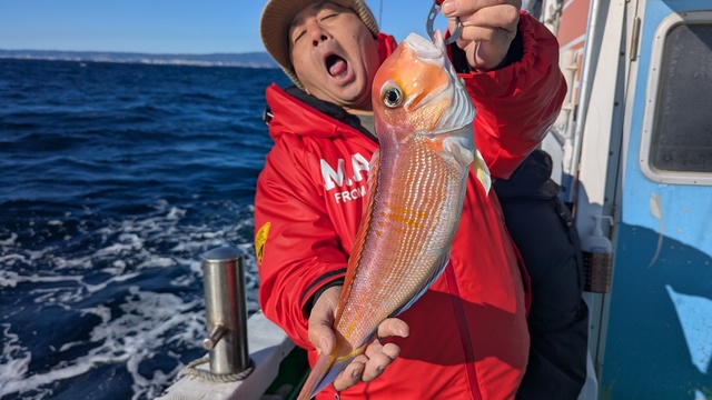 アマダイ(アカアマダイ)