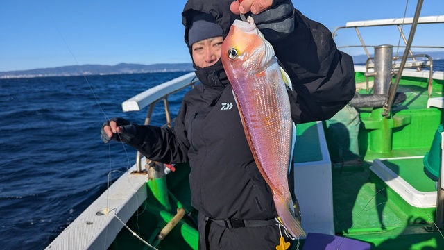 アマダイ(アカアマダイ)