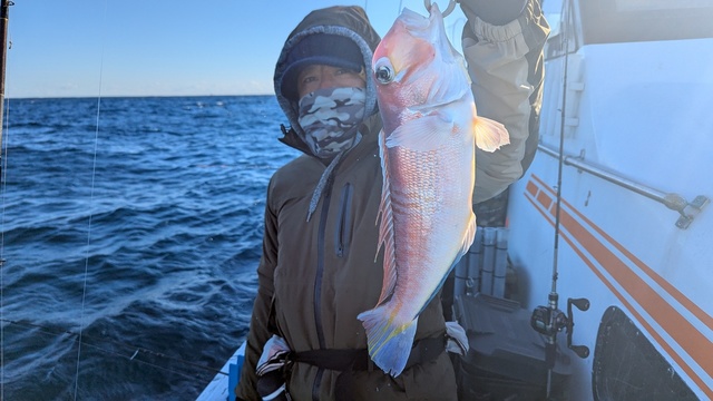 アマダイ(アカアマダイ)