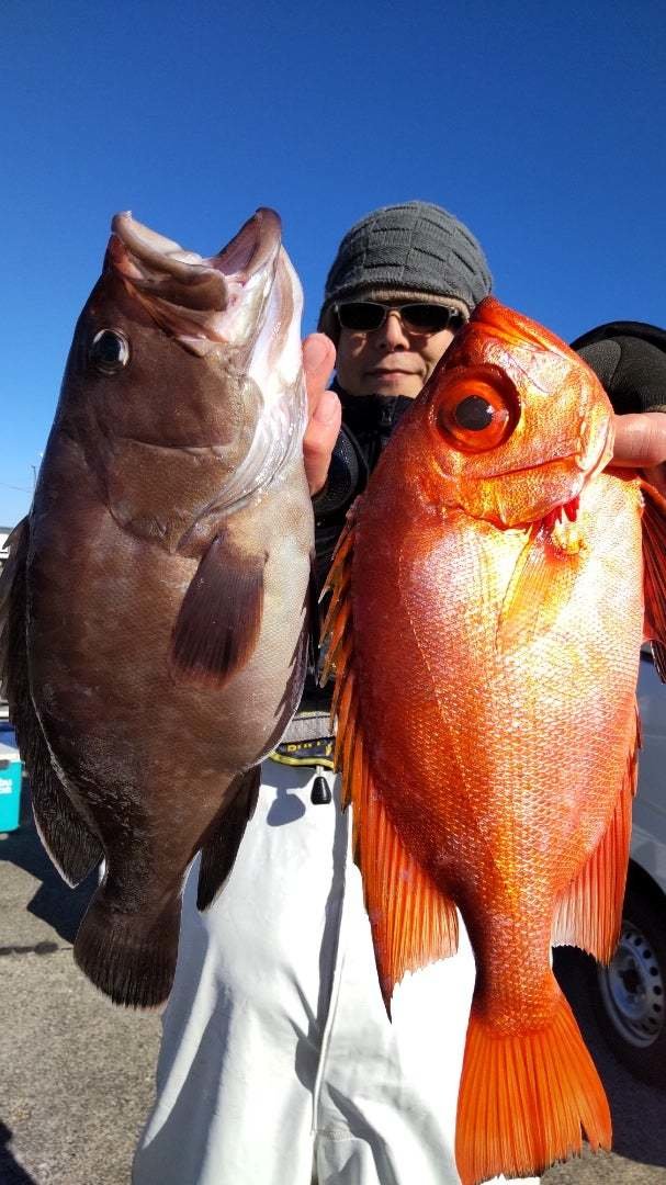 マハタ・キントキ(チカメキントキ)