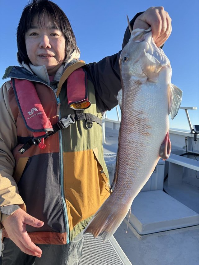 アマダイ(アカアマダイ)