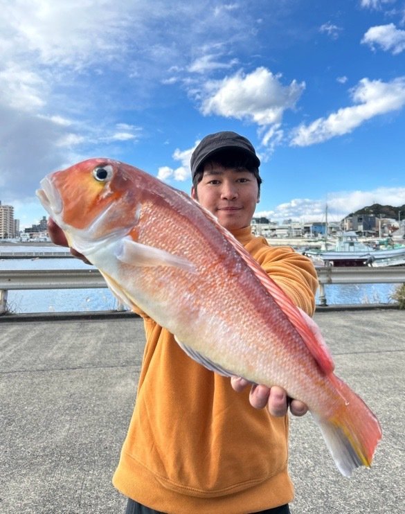 アマダイ(アカアマダイ)