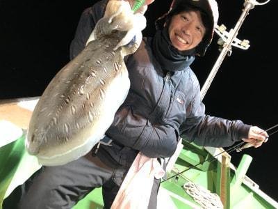 モンゴウイカ(カミナリイカ)