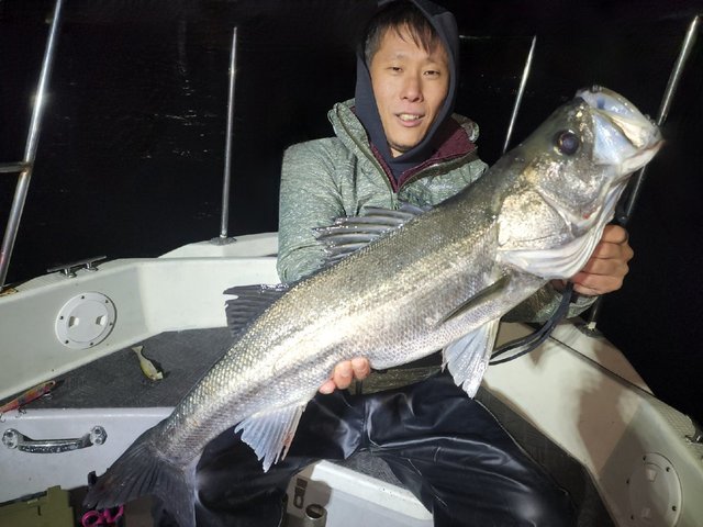 シーバス(スズキ)