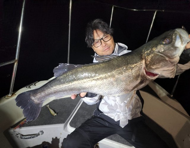 シーバス(スズキ)