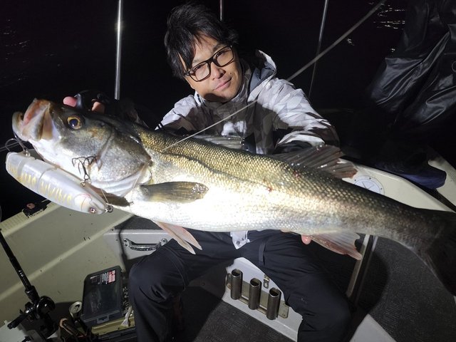 シーバス(スズキ)