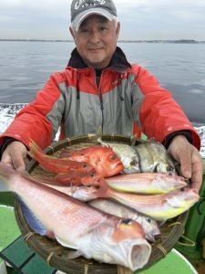 アマダイ(アカアマダイ)・イトヨリ(イトヨリダイ)