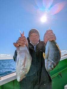 マダイ・ヘダイ