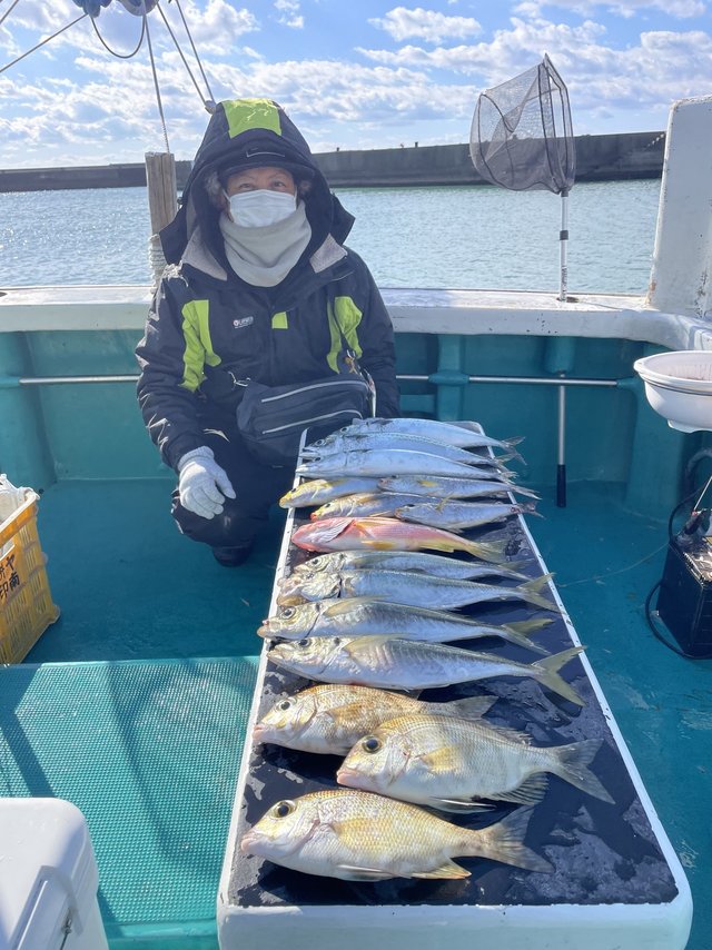 シオ(カンパチ)・メイチダイ