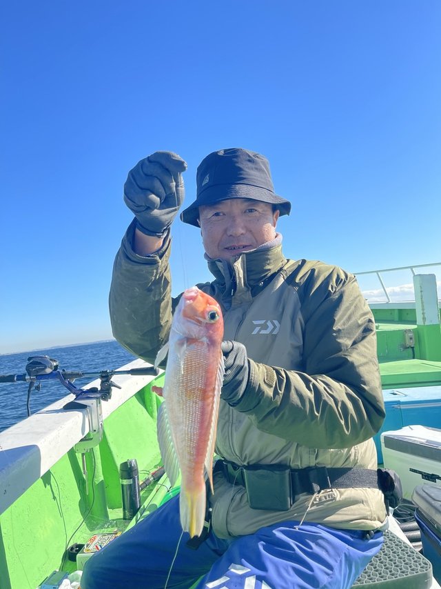 アマダイ(アカアマダイ)