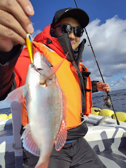 チャリコ(マダイ)