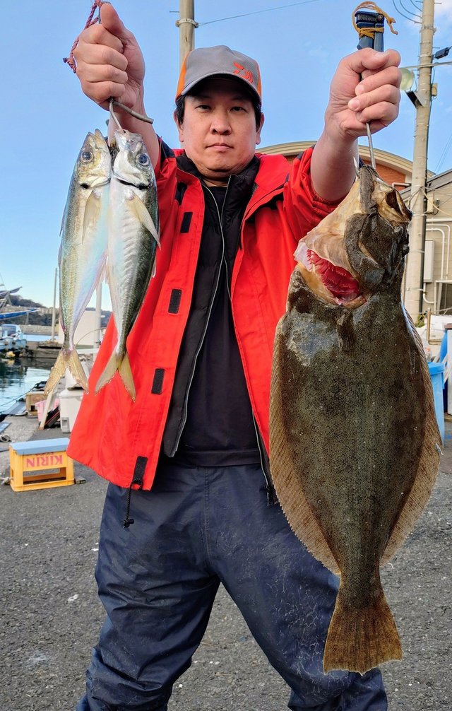 アジ(マアジ)・ヒラメ