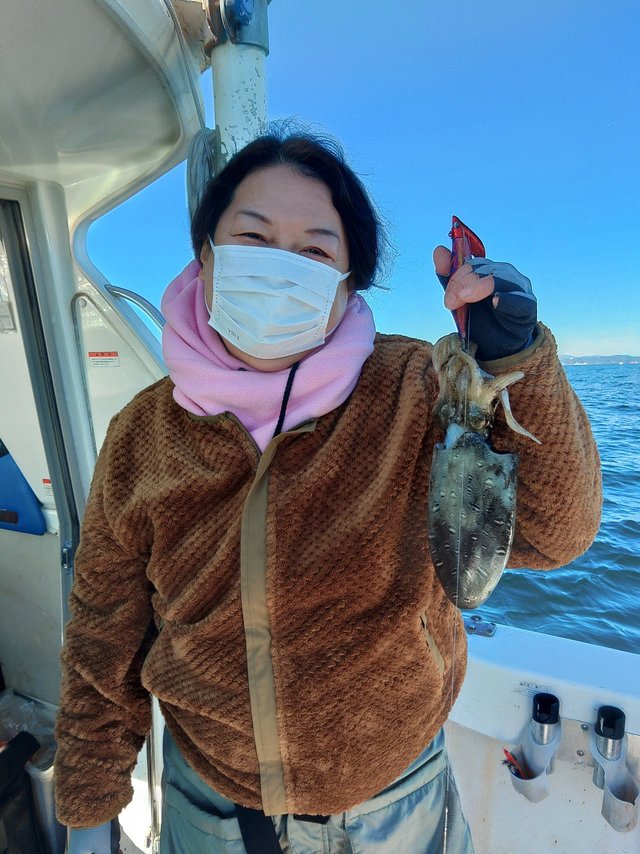 モンゴウ(カミナリイカ)