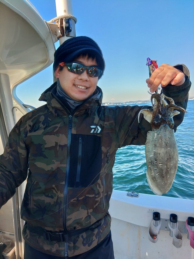 モンゴウ(カミナリイカ)